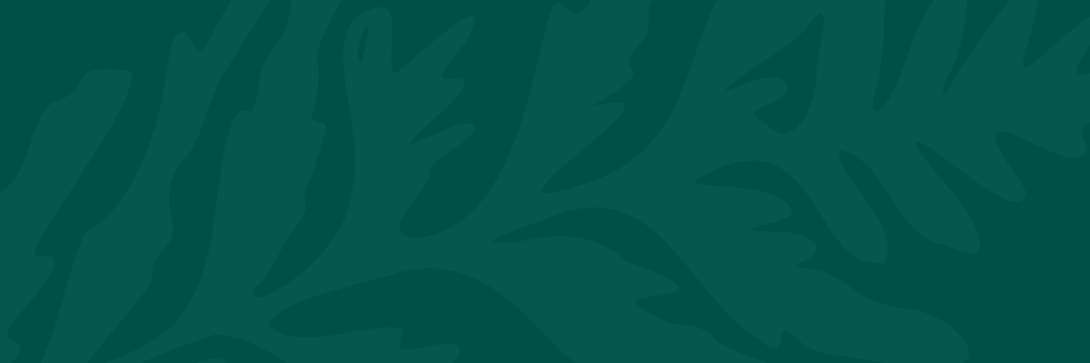 Copy of Web Banners (1400x400) (1)
