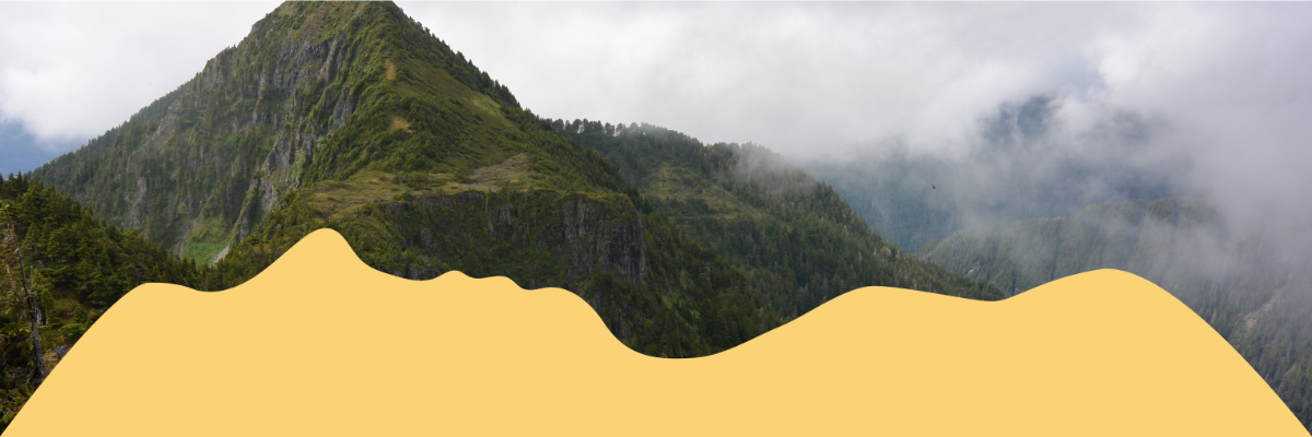 Copy of Web Banners (1400x400)